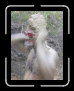 0706-TXRDRetreat161 * 1920 x 2560 * (2.1MB)