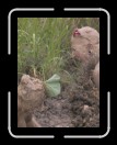 0706-TXRDRetreat163 * 1920 x 2560 * (2.4MB)