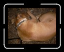 0706-TXRDRetreat250 * 2560 x 1920 * (2.47MB)