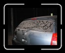 1006-FeistysGAP127 * 2560 x 1920 * (2.51MB)