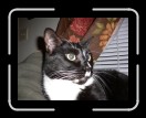 1006-HollysCasa17 * 2560 x 1920 * (2.38MB)