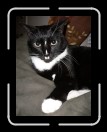 1006-HollysCasa19 * 1920 x 2560 * (2.23MB)