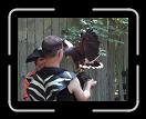 0907-RichardsFaire-23 * 3072 x 2304 * (2.8MB)
