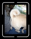 1007-LocaCherryParty109 * to show off some tail. * 2304 x 3072 * (3.28MB)