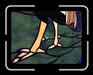 1007-LocaCherryParty129 * Rooster Feet * 3072 x 2304 * (2.57MB)