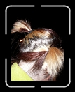 1007-LocaCherryParty24 * Varuca's oh-so-colorful double-side-po-tail! * 2304 x 3072 * (3.52MB)