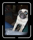 1007-LocaCherryParty99 * Greg's new little one, Lola. * 2304 x 3072 * (3.36MB)