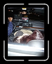 1107-GGRD-Champ93 * ZZZZZZZZZzzzzzZZzzzzZZZZZZ * 2304 x 3072 * (3.31MB)