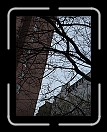 0108-NYC-183 * 2304 x 3072 * (3.41MB)