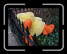 0108-NYC-251 * 3072 x 2304 * (3.5MB)