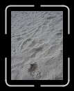 0808-HuracanPuta40 * Footprints in the sand. * 2304 x 3072 * (3.48MB)