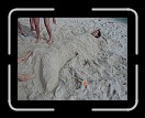 0808-HuracanPuta42 * The forming of the little Guera mermaid. * 3072 x 2304 * (3.69MB)